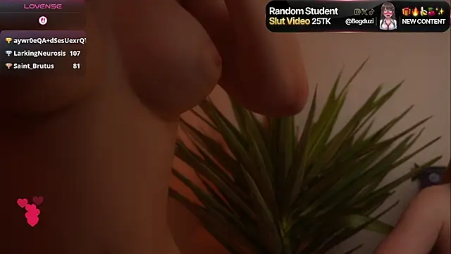 Chat XXX Live BogduziDolls