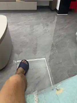 hjlp012 Show in webcam