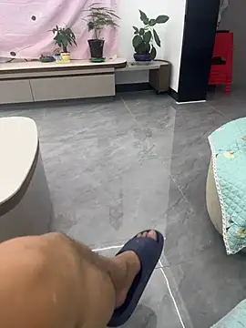 hjlp012 Show Webcam
