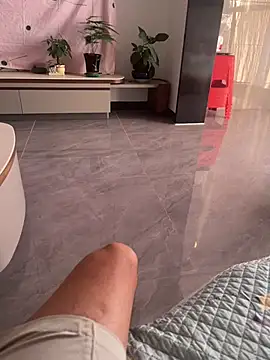 hjlp012 Show in webcam