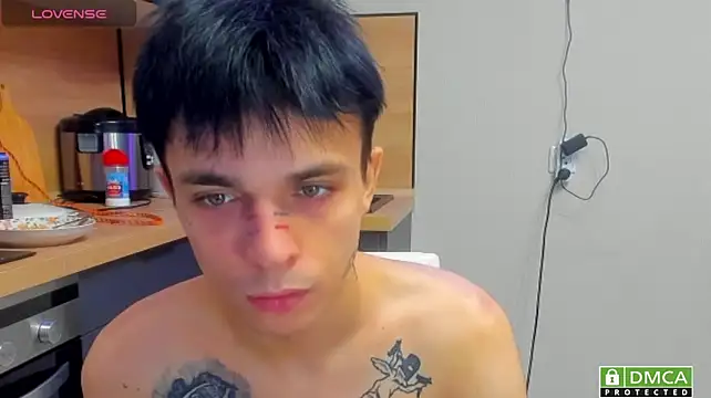 Clark_Dayn Webbikameraesitys