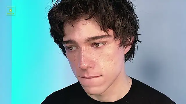 mark_shot Show in webcam