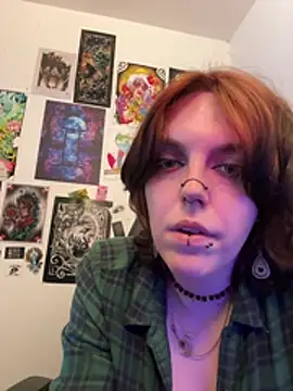 Show Webcam de Elenalt