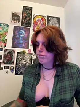 Elenalt webkamerás műsora
