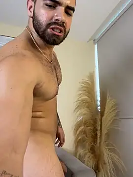 PaulPhoenix_n Webbikameraesitys