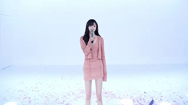 TNT-cdc 网络视讯表演