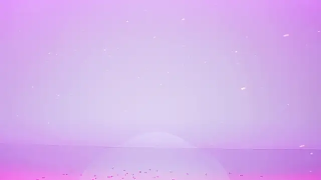 TNT-cdc ওয়েবক্যাম শো