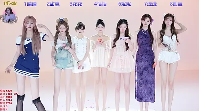 TNT-cdc 网络视讯表演