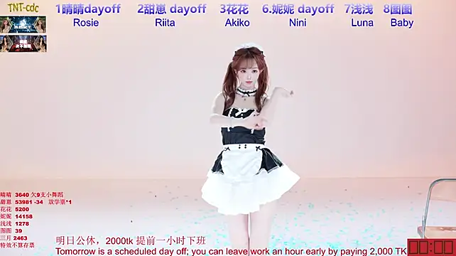 TNT-cdc Show in webcam
