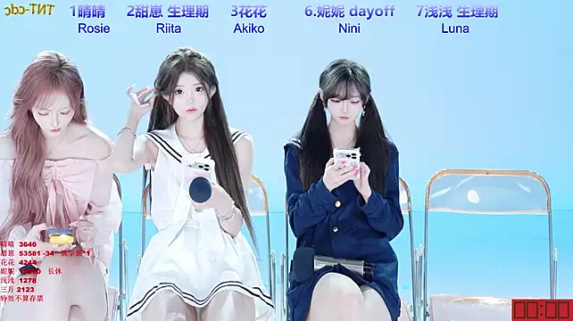 TNT-cdc 网络视讯表演