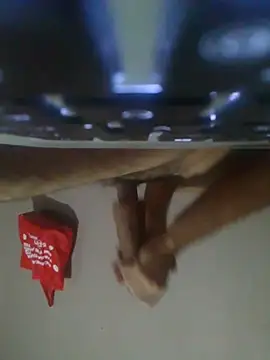 cobrosdepagos00 Webcamshow