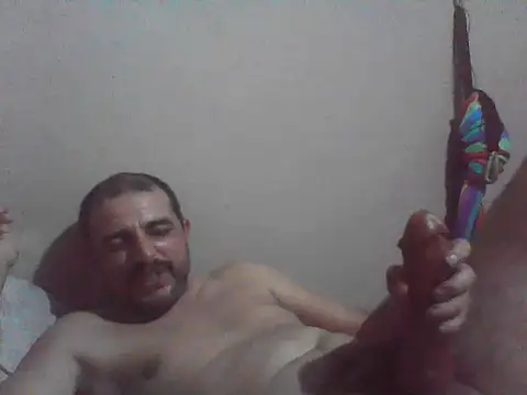 Show de cobrosdepagos00 na webcam
