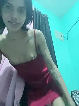 bunnydollstella1 웹캠 쇼