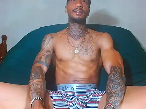 عرض كام the_king_black