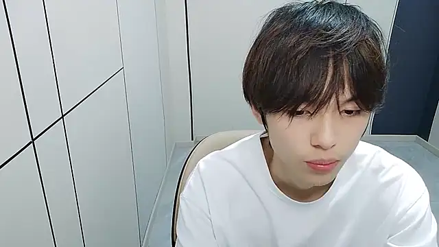 T2028T 网络视讯表演