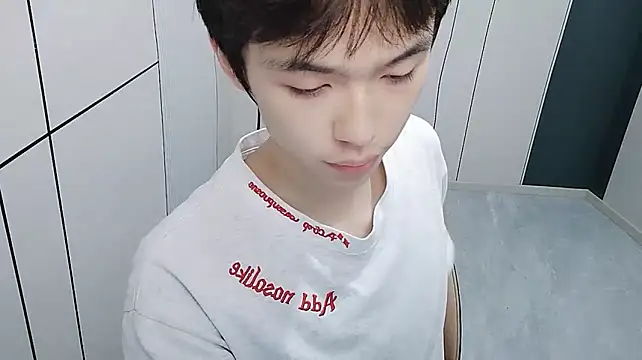 T2028T 网络视讯表演