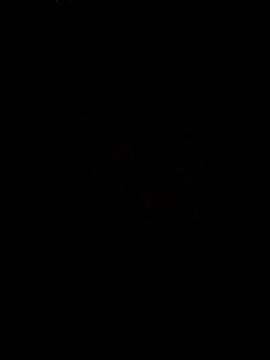 Sexy_bhabi36's Live XXX Chat