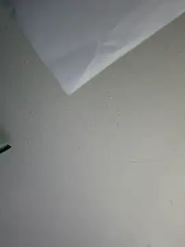 Show Webcam de THATHAIRYTALLDUDE