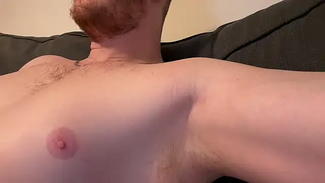 Show webcam de MuskyWill