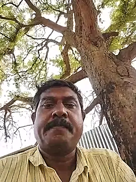 عرض كام ApposedBearingtamilnadu
