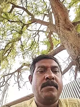 ApposedBearingtamilnadu Show in webcam