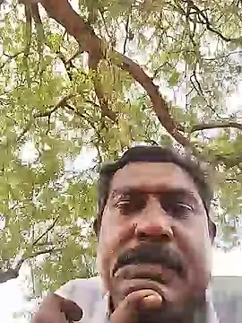 Show de ApposedBearingtamilnadu na webcam