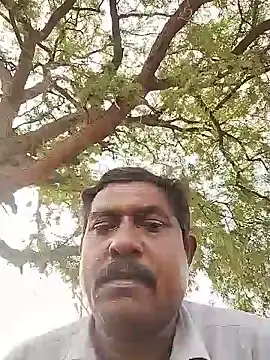 ApposedBearingtamilnadu Webcam Show