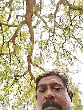 ApposedBearingtamilnadu Show in webcam