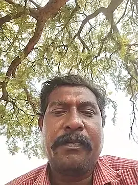 ApposedBearingtamilnadu webcam show