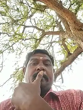 Show de ApposedBearingtamilnadu na webcam