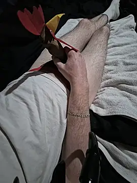 הופעת וובקאם של AllwaysHornyJames