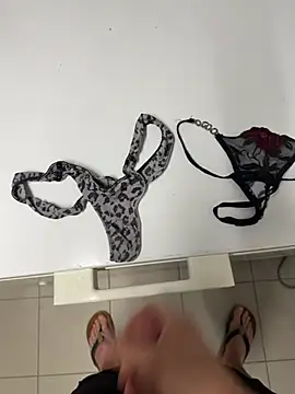 swissboy22 Webcam-Show