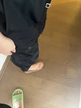 Swdkのウェブカメラショー