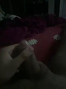Doareuu Webcam Show