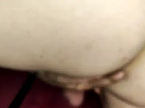 whittelemon Show in webcam