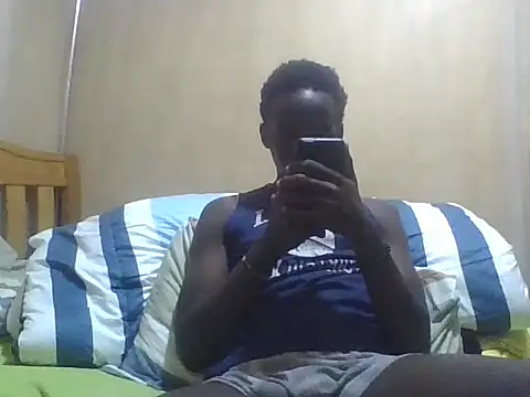 myles_erqtn Webbikameraesitys