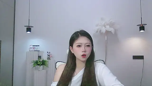 MS-1314 Webcam-Show