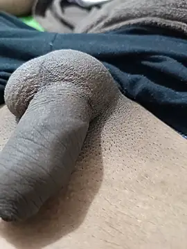 Show de webcam de leoziito