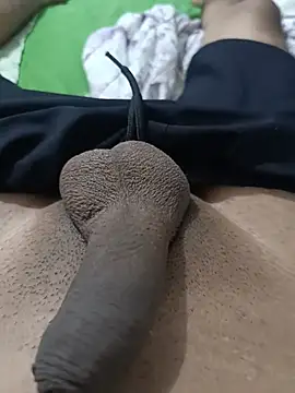 Show de webcam de leoziito