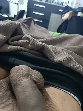 Show webcam de leoziito