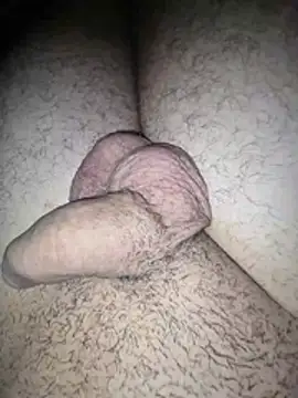 Show de webcam de bitman18