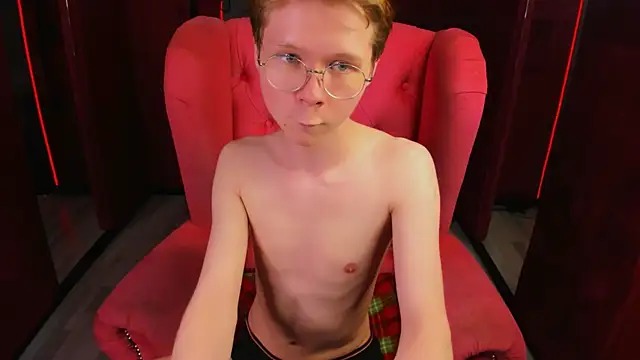 DanielSandersn Webbikameraesitys