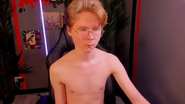 DanielSandersn Webbikameraesitys
