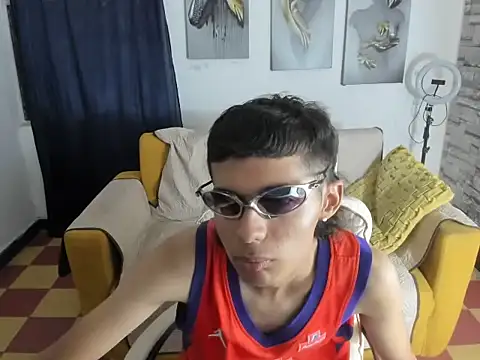 raul_silvan Webbikameraesitys