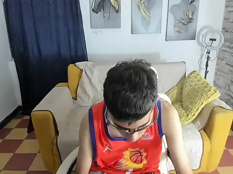 raul_silvan Webbikameraesitys