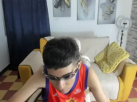 raul_silvan Webbikameraesitys