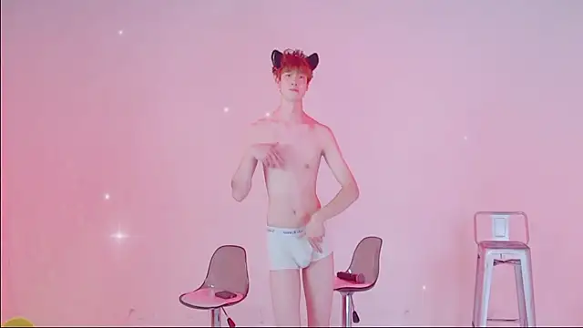 BBLB-961n Webbikameraesitys