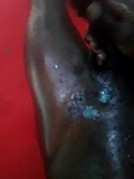 Hotdick2547 ওয়েবক্যাম শো