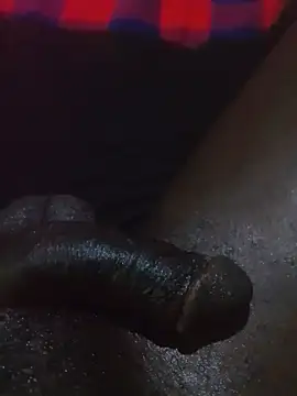 Show webcam de Hotdick2547