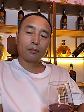 vip77987 网络视讯表演